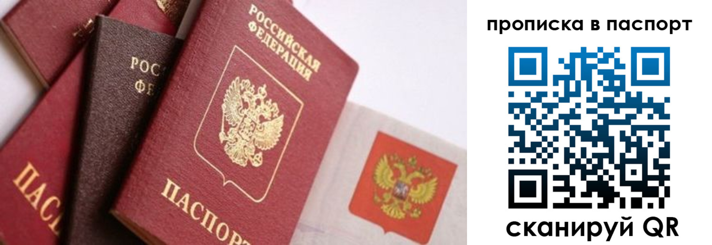 регистрация для школы в Гусь-Хрустальном